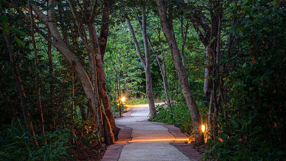Mbano Manor Hotel » Matoke