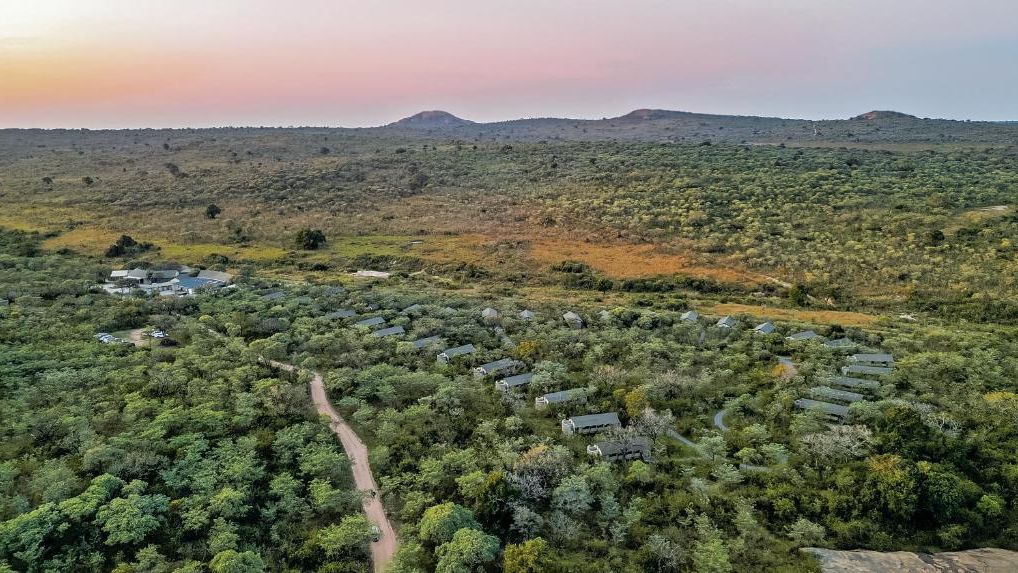 Mdluli Safari Lodge » Matoke