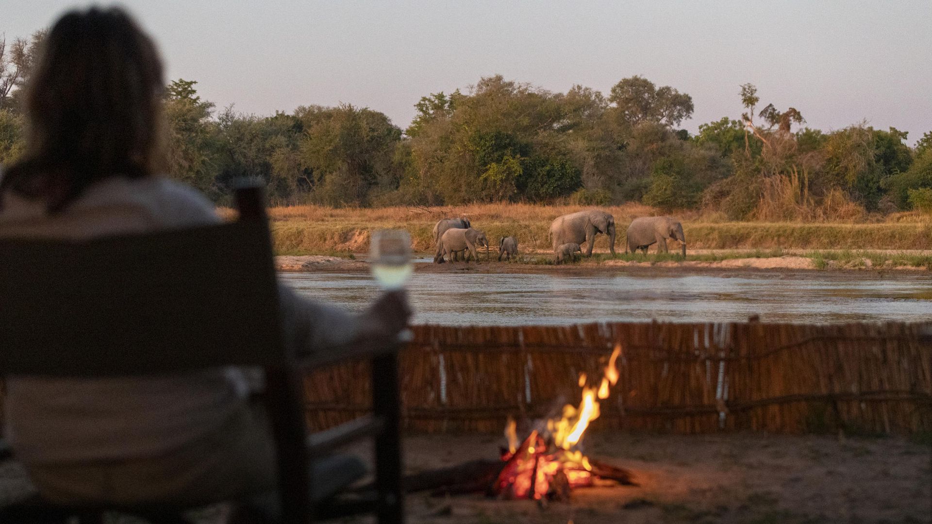 Mwaleshi Camp » Zambia » Matoke Tours