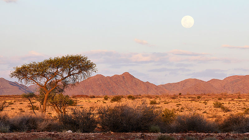 Nooishof » Namibië » Matoke Tours