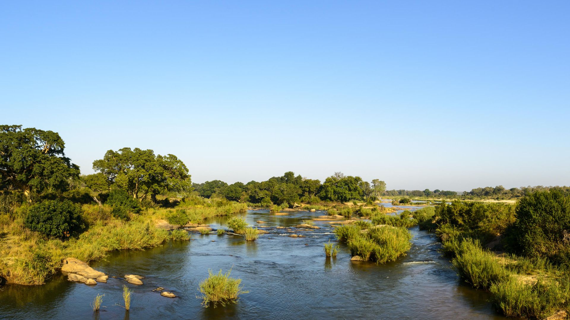 Rhino Post Safari Lodge » Matoke