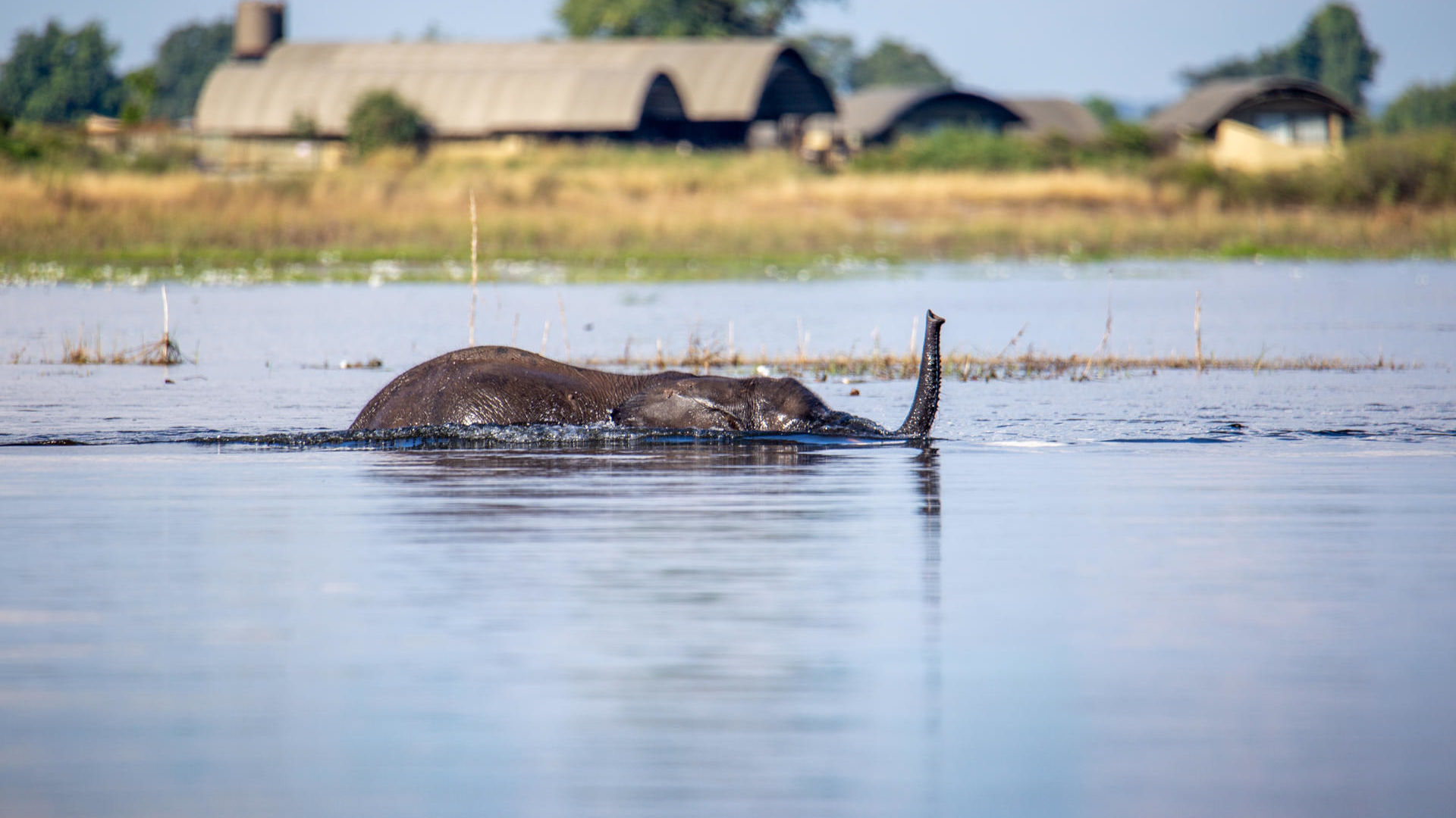 Serondela Lodge » Matoke