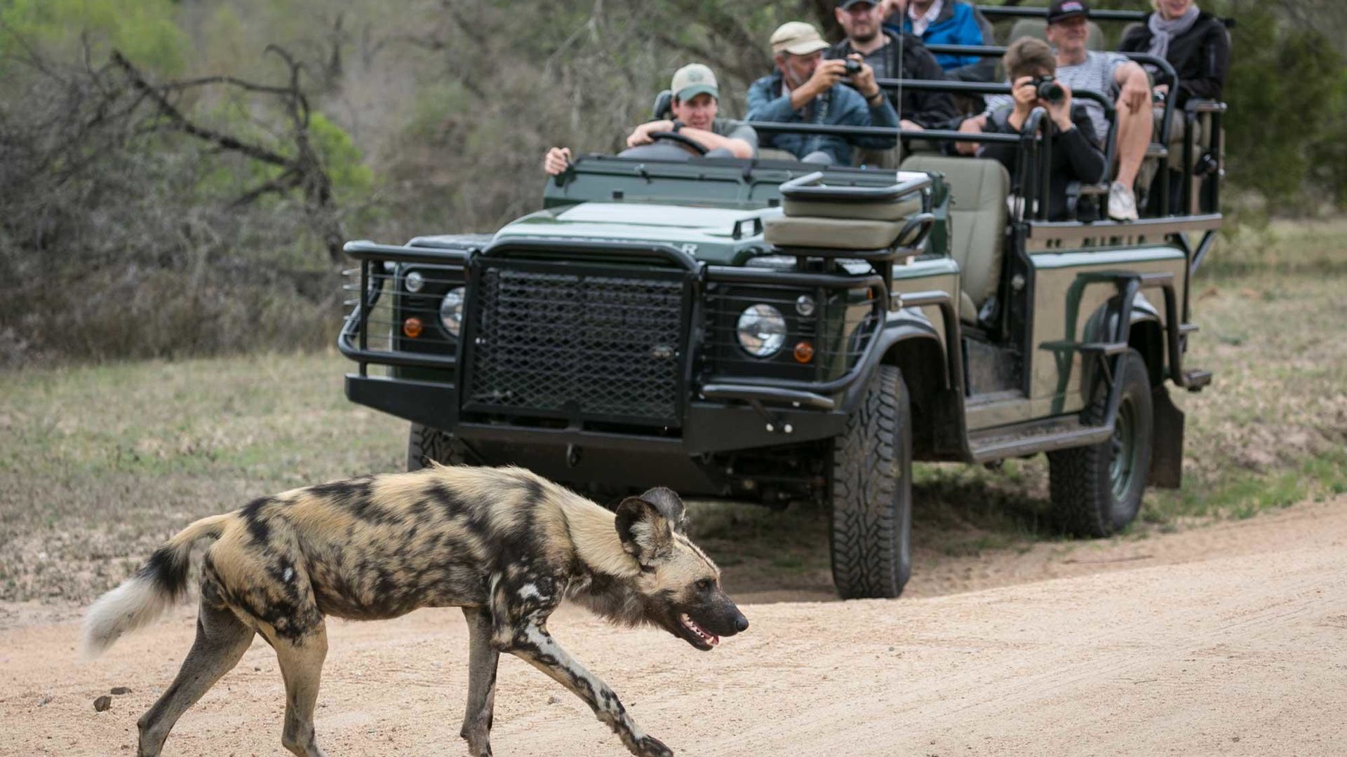 Umkumbe Safari Lodge » Matoke