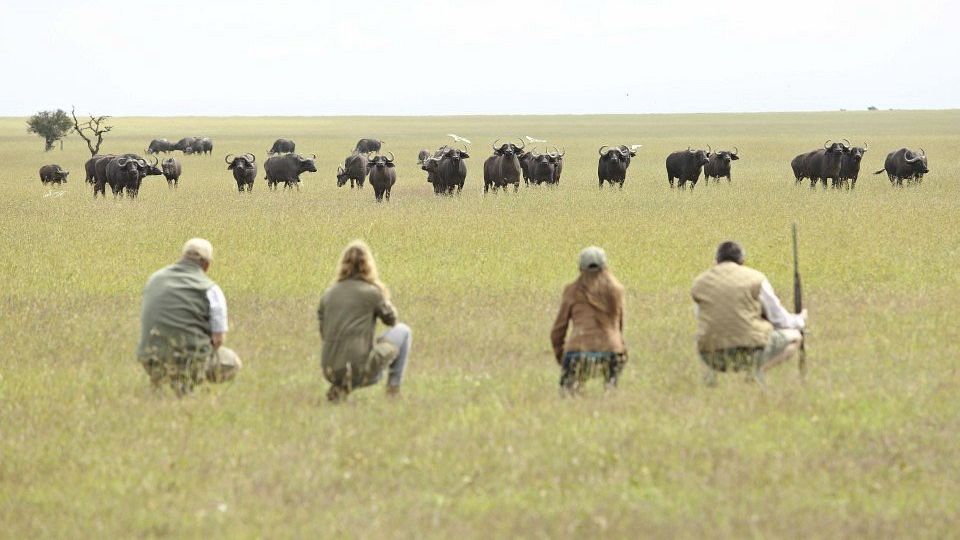 Ol Pejeta Bush Camp » Matoke