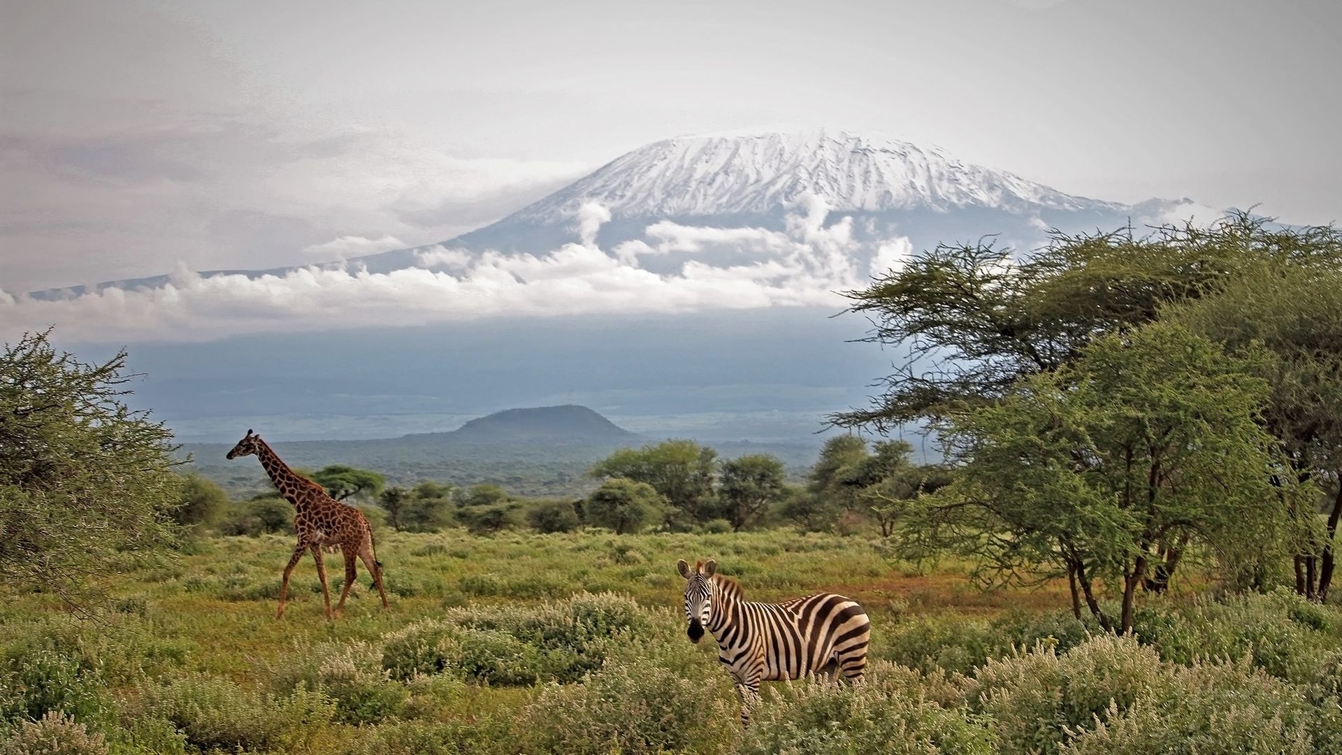 Tulia Amboseli Safari Camp » Matoke