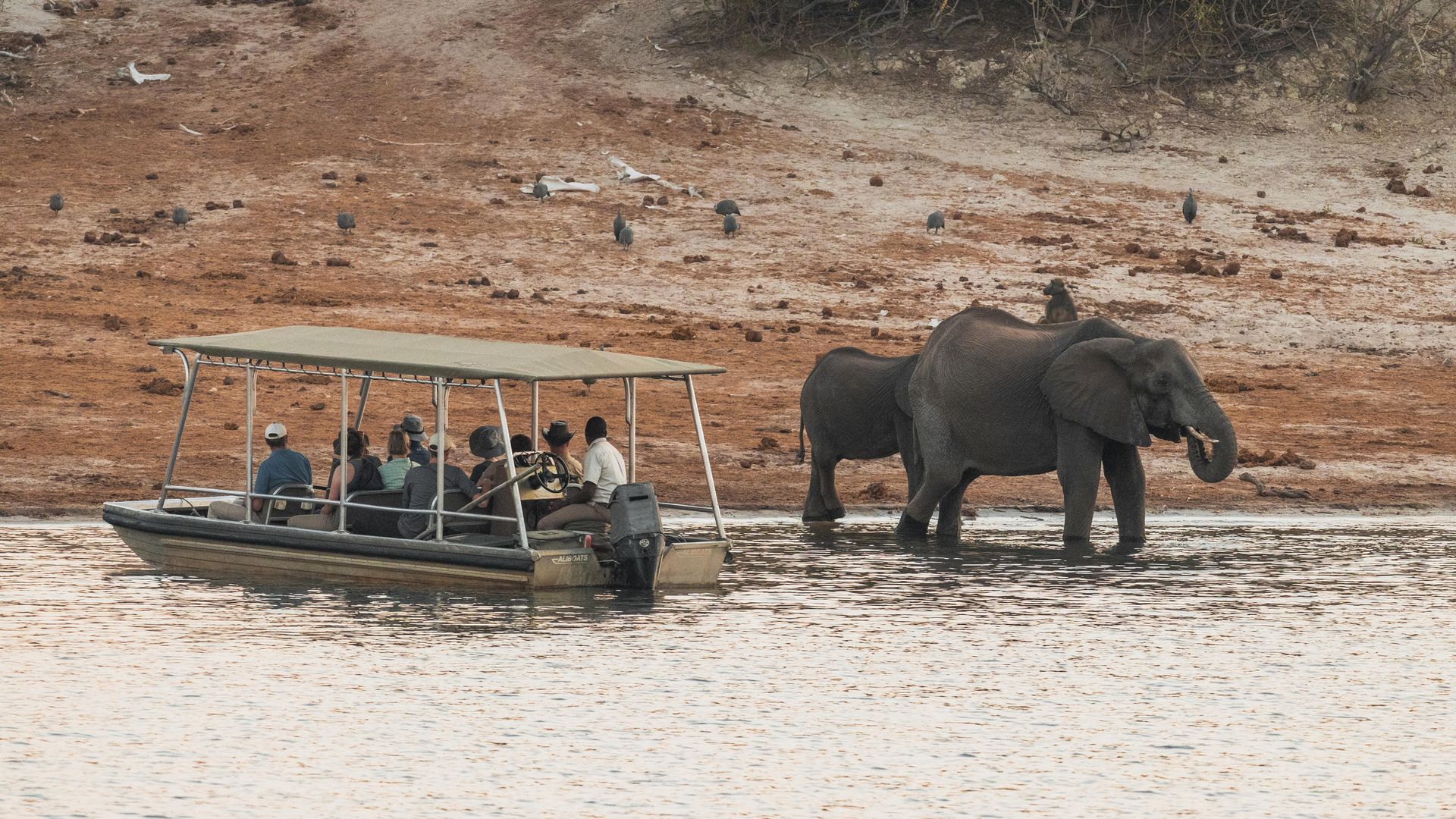 Chobe Princess » Matoke