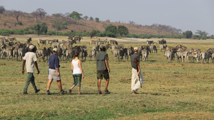 Chobe River Camp » Matoke