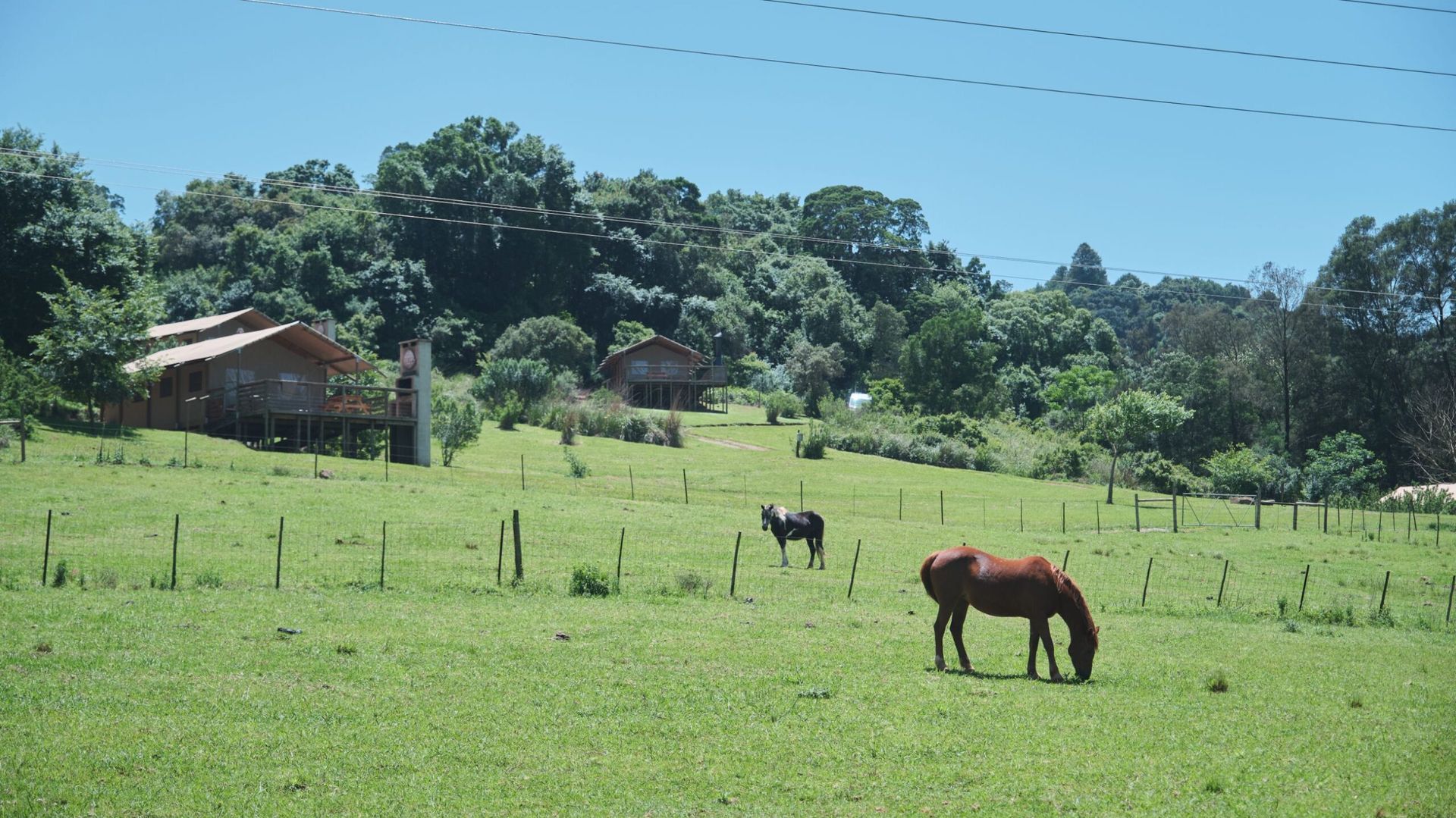 Africamps Gowan Valley » Matoke