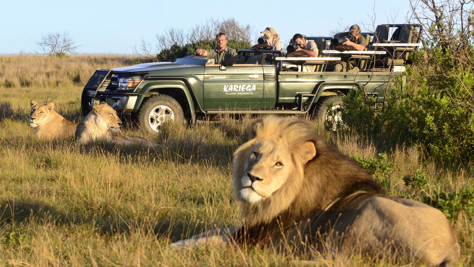 Kariega Main Lodge » Matoke