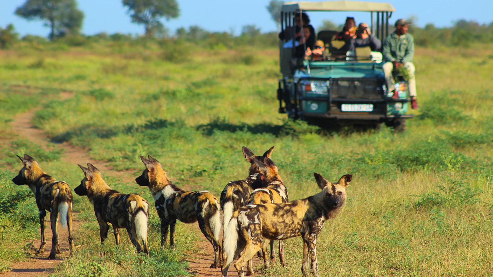 Lukimbi Safari Lodge » Matoke