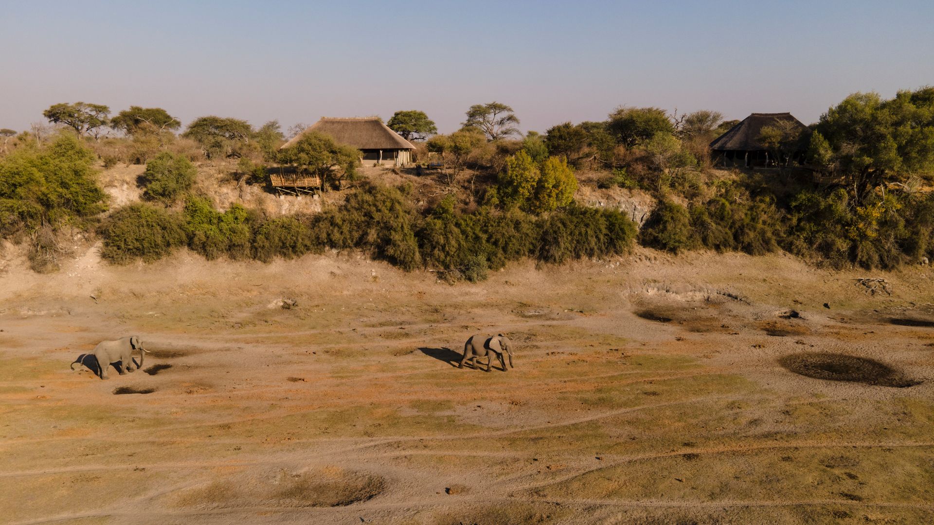 Moela Safari Lodge » Matoke