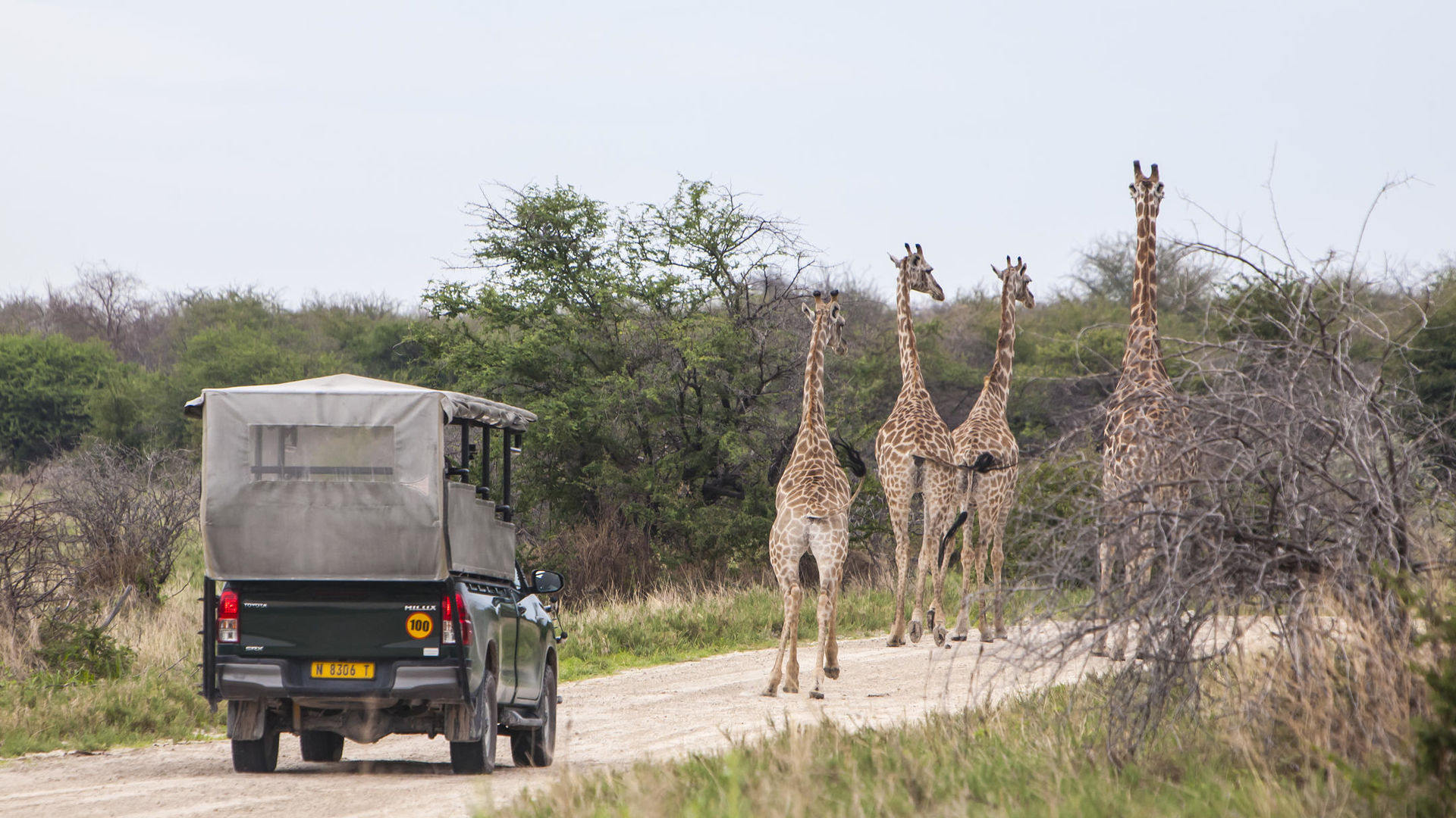 Mushara Lodge » Matoke