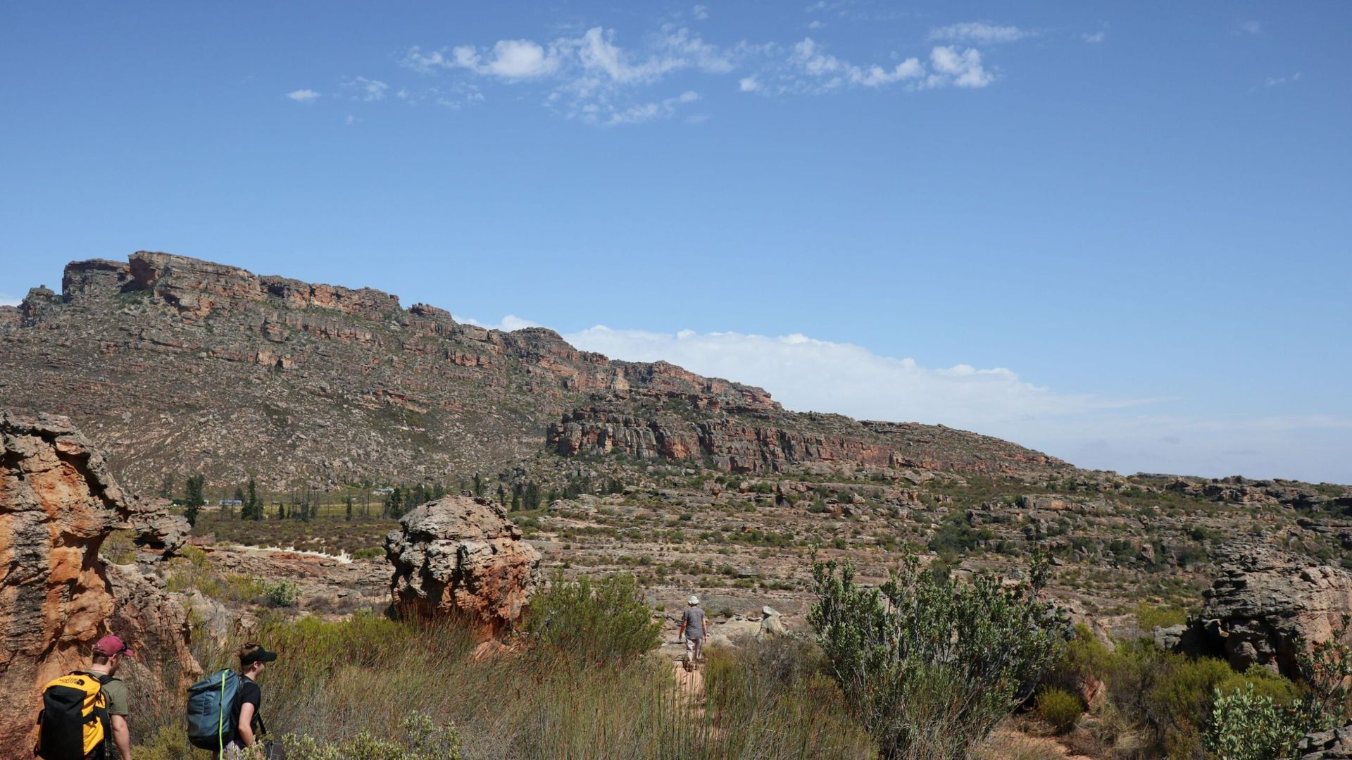 Africamps de Pakhuys » Matoke
