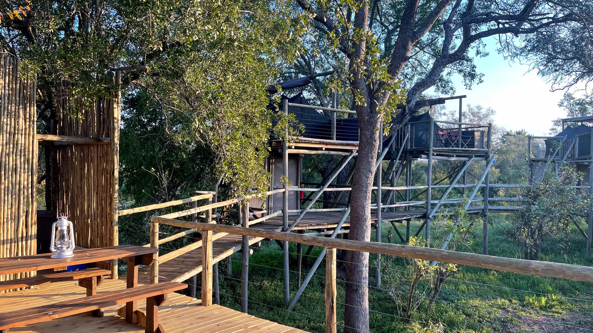 Rhino Walking Safari Plains Camp » Matoke