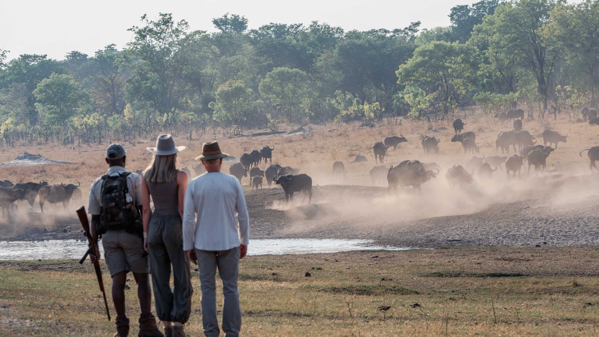 Sable Valley Lodge » Matoke