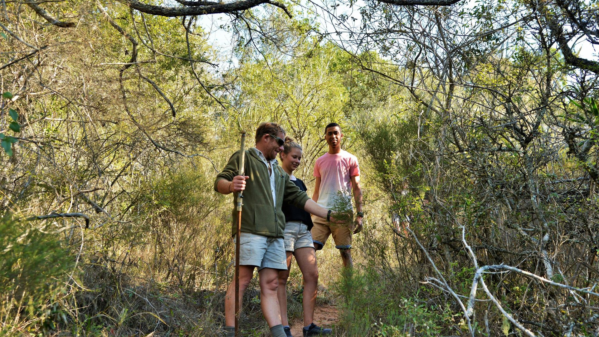 Sibuya Forest Camp » Matoke