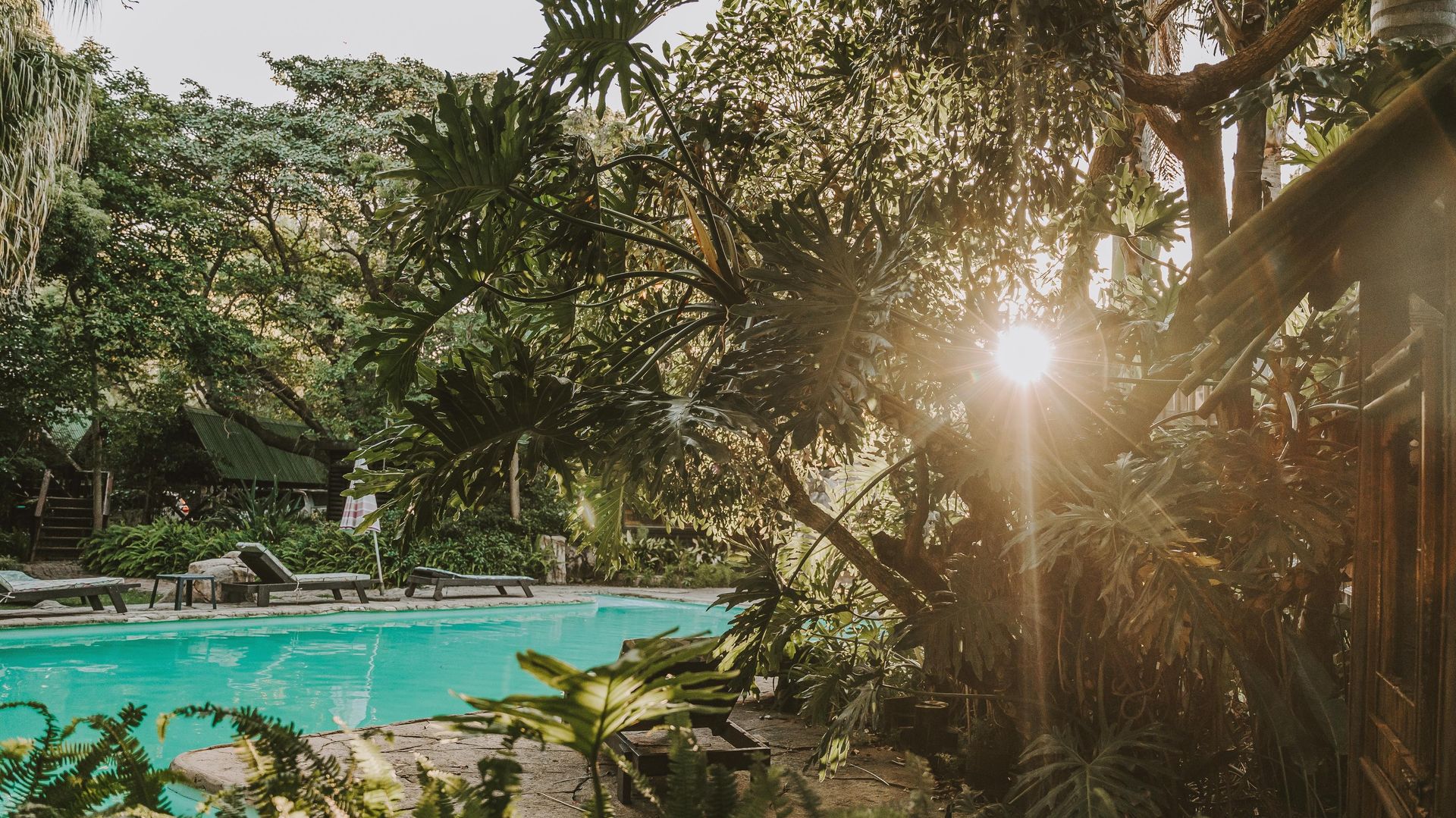Tsitsikamma Lodge & Spa » Matoke
