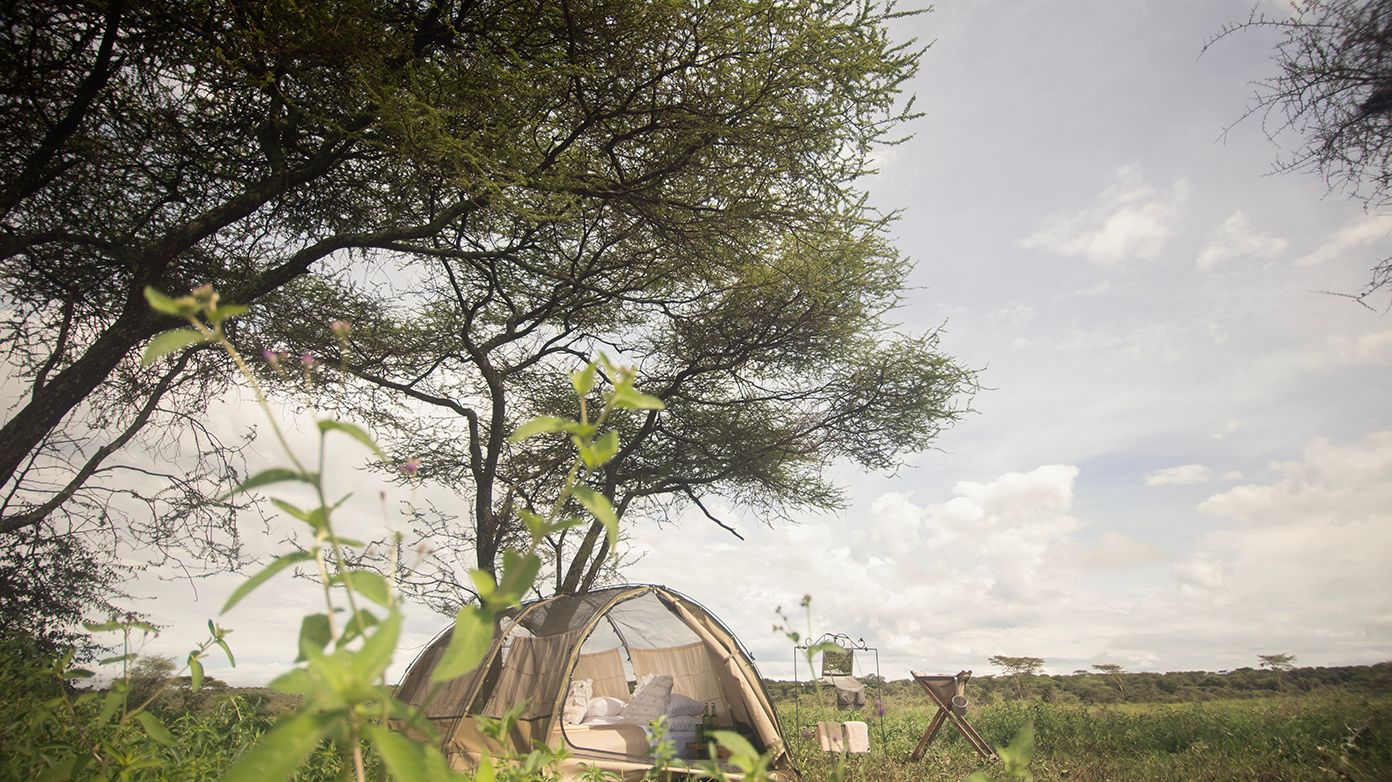 Wayo Walking Camp » Tanzania » Matoke Tours