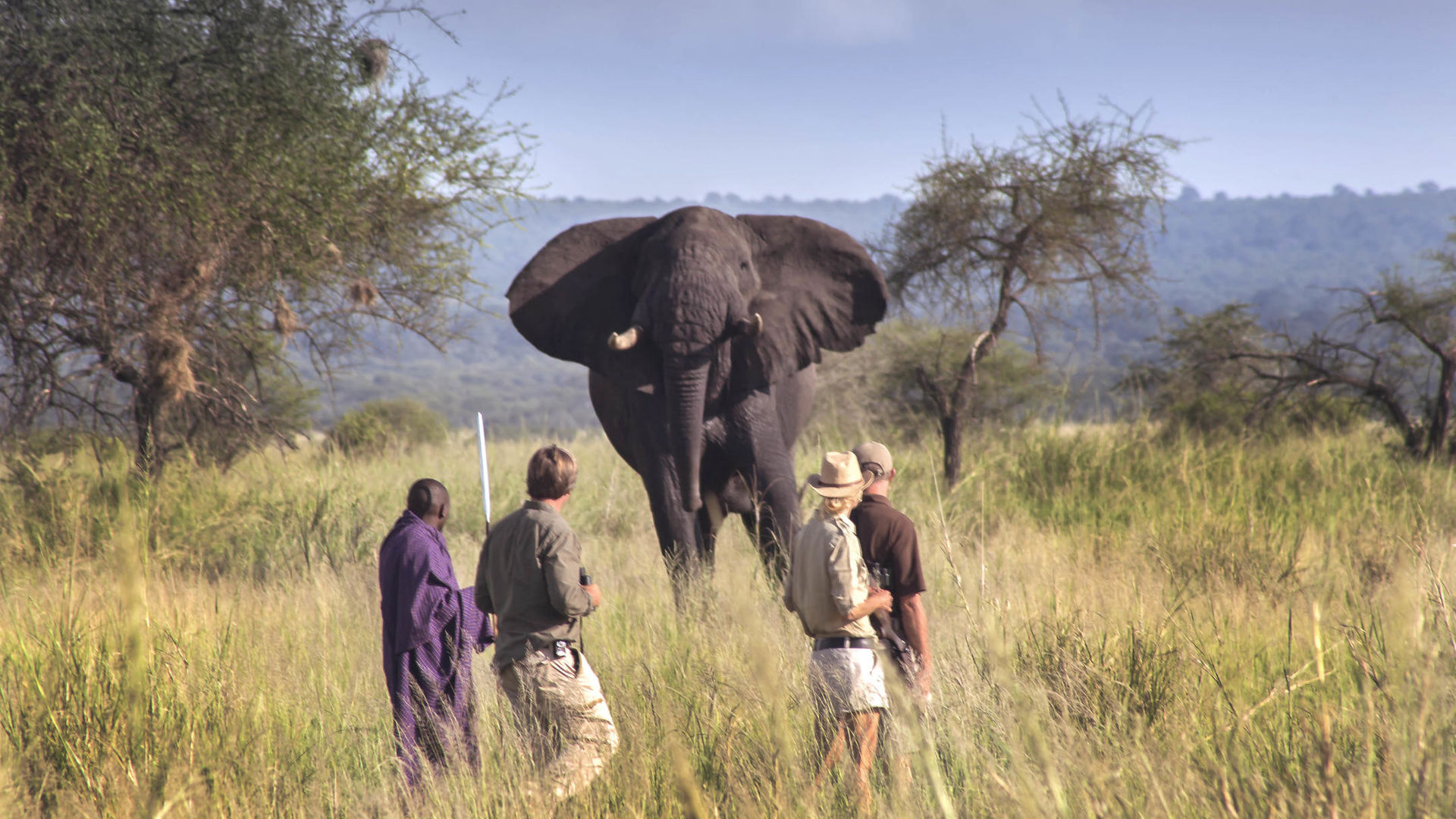 Nyikani Camp Tarangire » Matoke