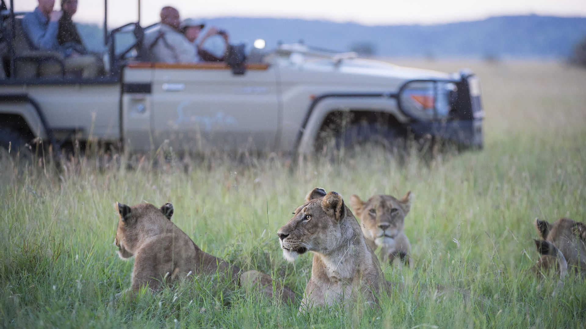 Sasakwa Lodge » Matoke