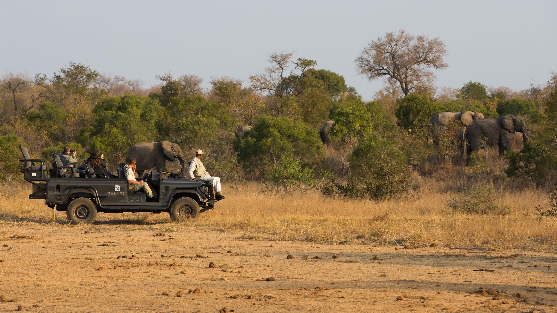 Makanyi Private Game Lodge » Matoke
