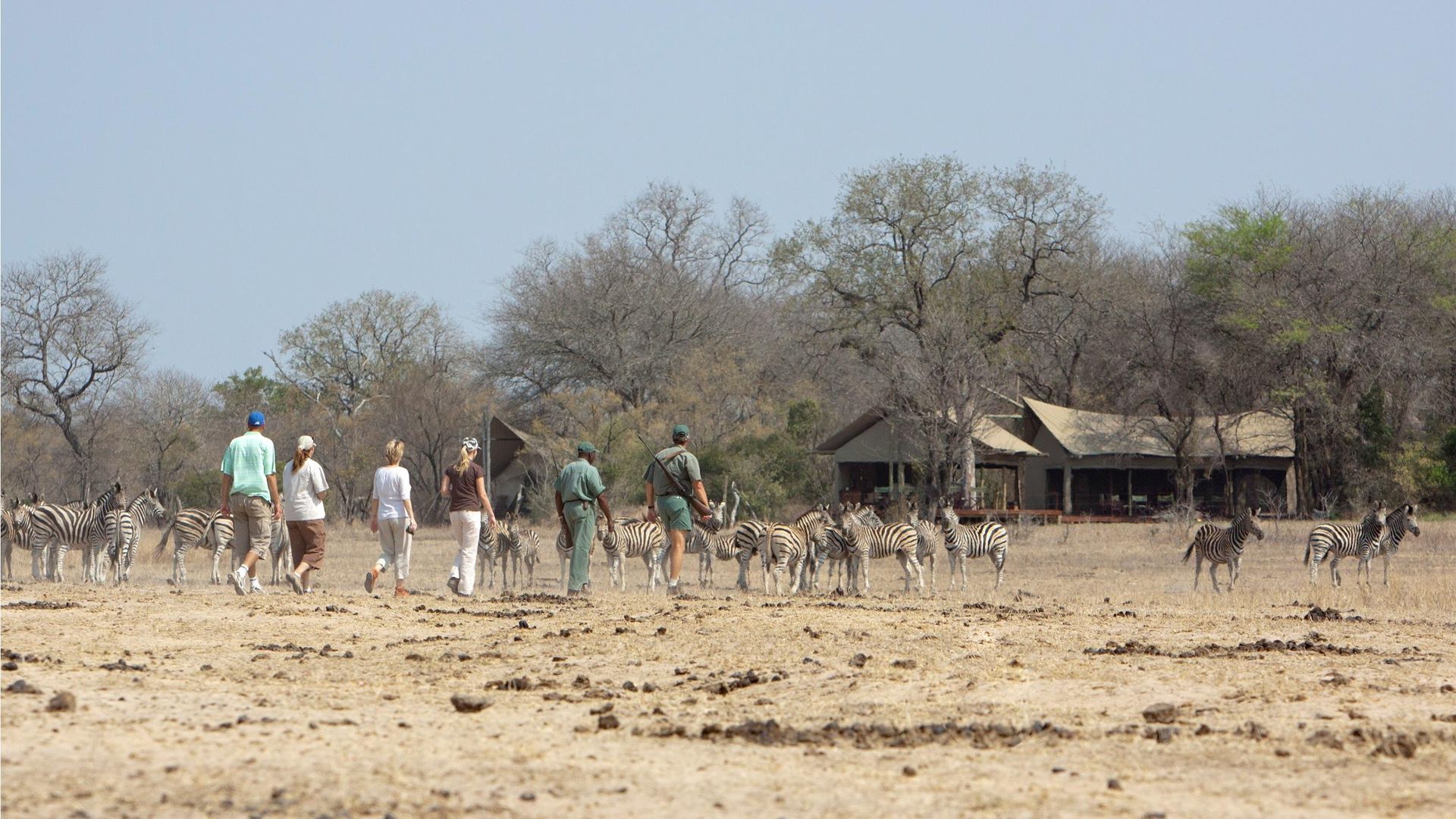 Rhino Walking Safari Plains Camp » Matoke
