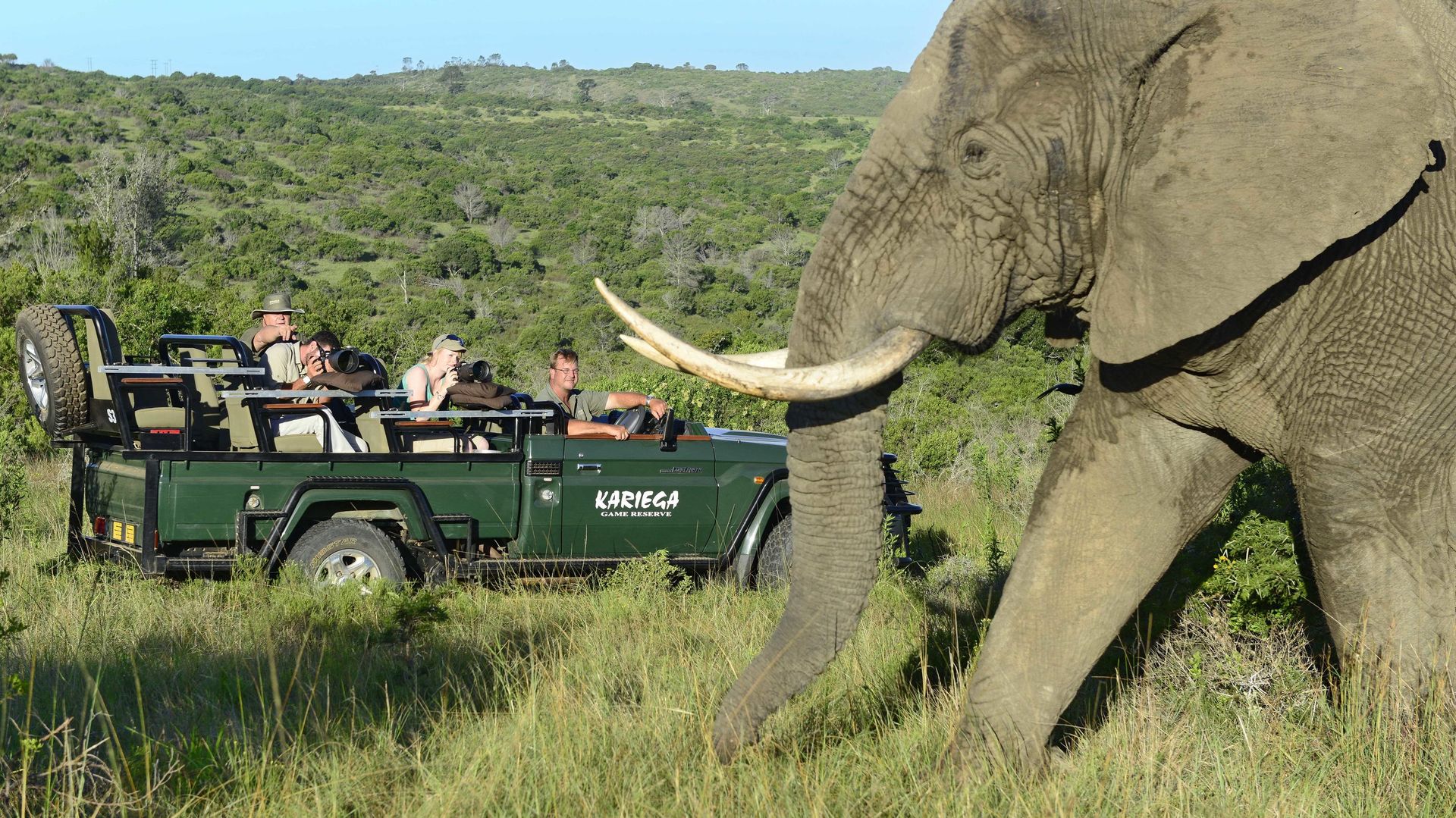 Kariega River Lodge » Matoke