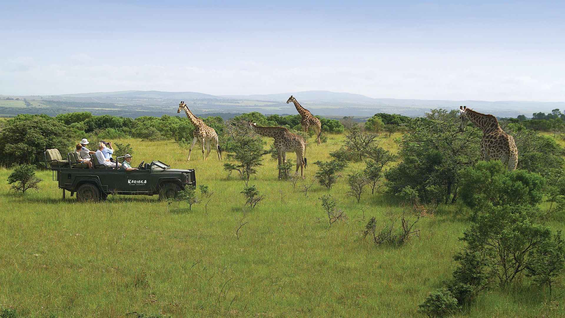 Kariega River Lodge » Matoke