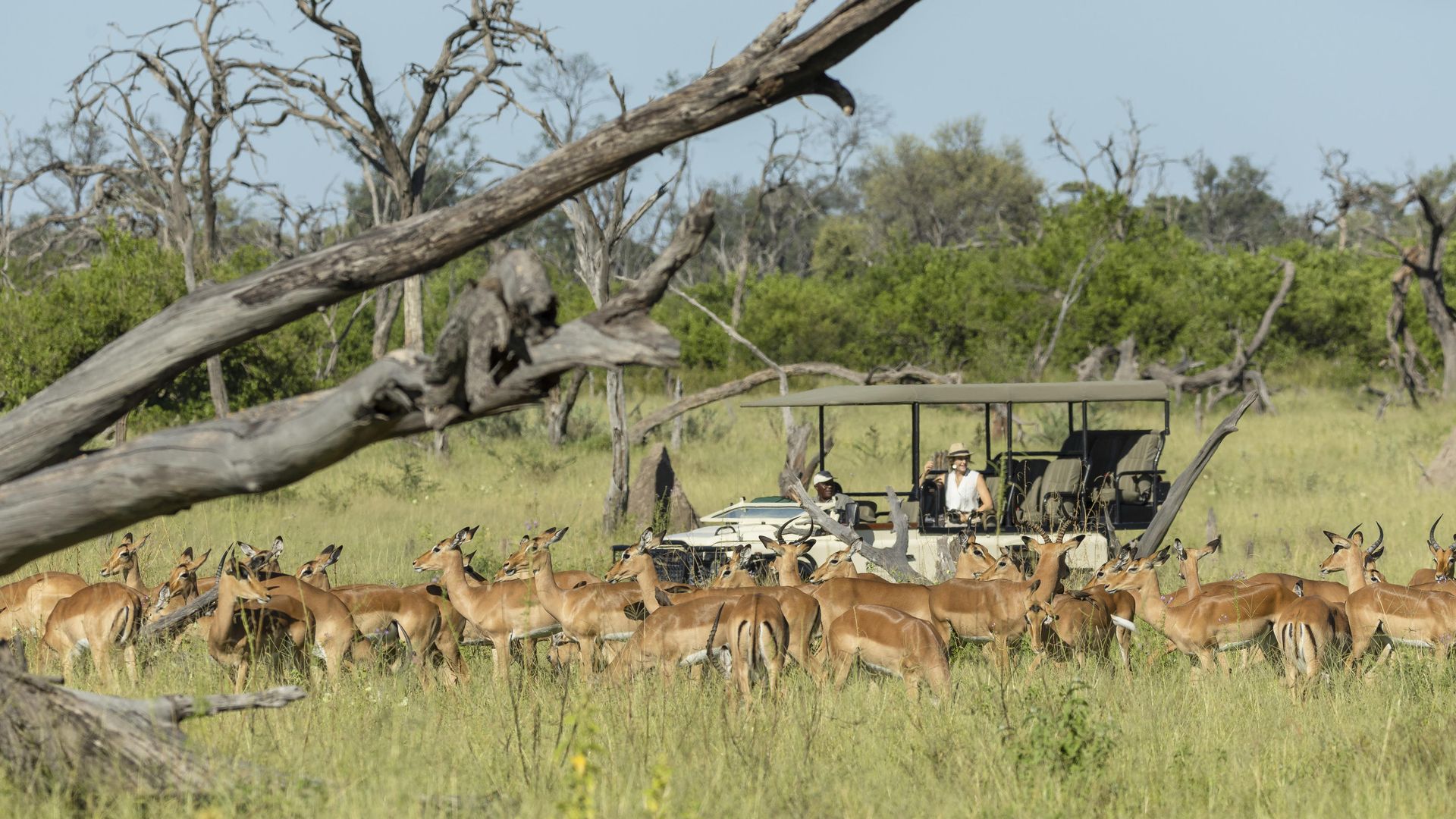 Khwai Guest House » Botswana » Matoke Tours