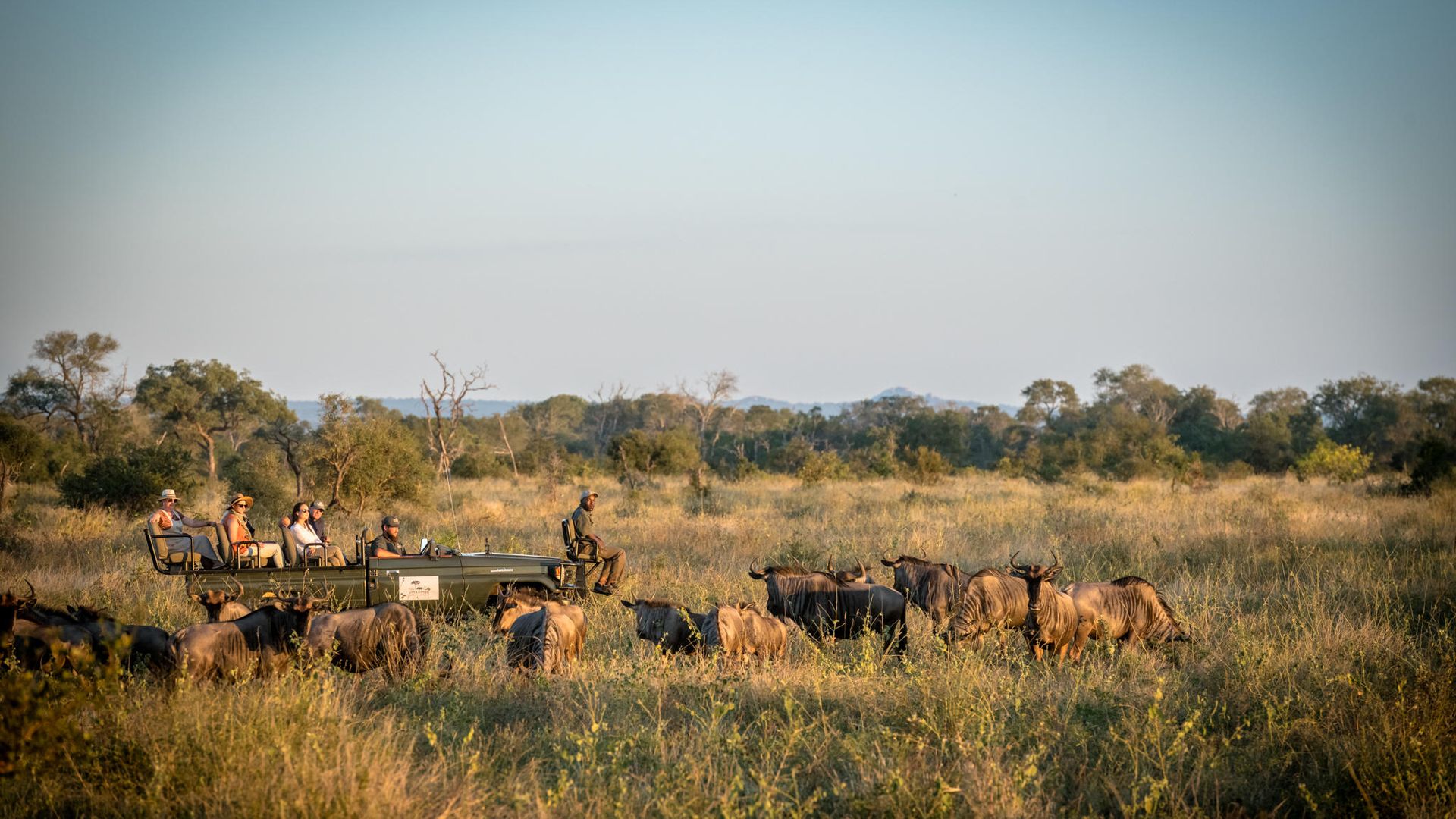 Umkumbe Bush Lodge » Matoke