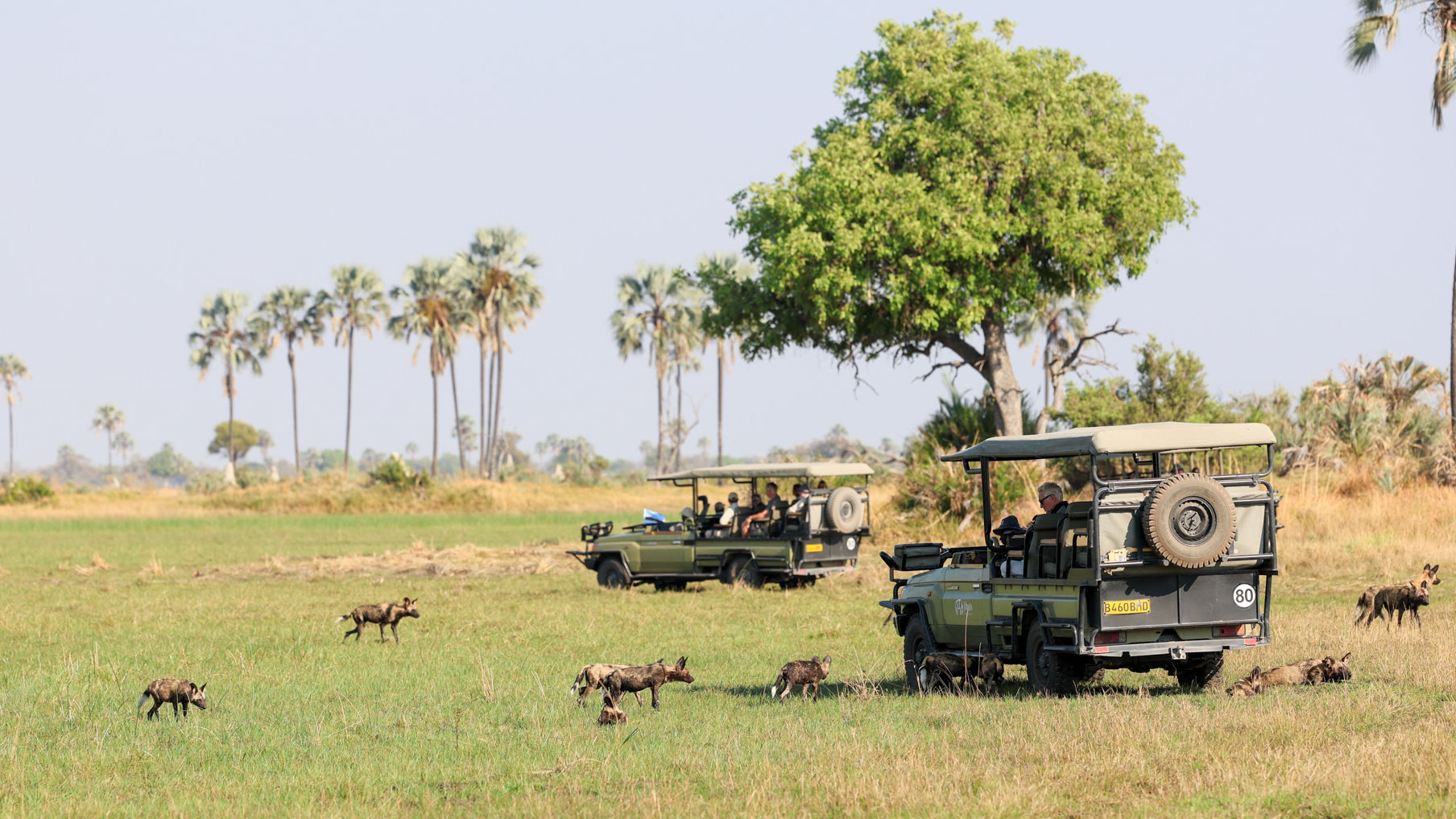 Victoria Watervallen, Zuid-Afrika en Botswana | 16-daagse reis