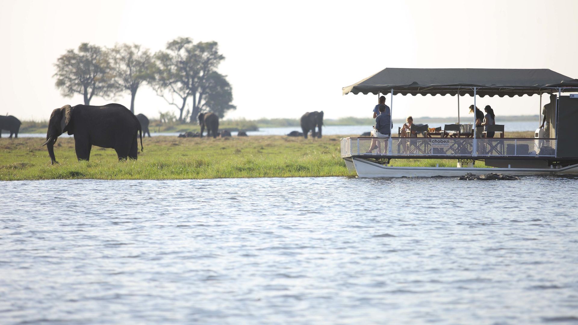 Chobe Under Canvas » Matoke