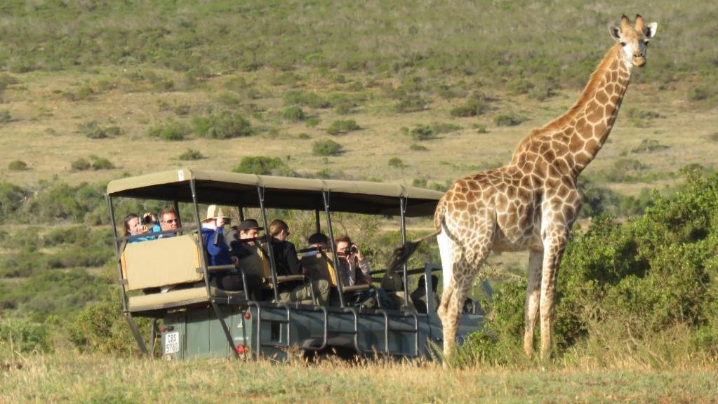 16-daagse gezinsreis Zuid-Afrika malariavrij | Tuinroute en Kaapstad