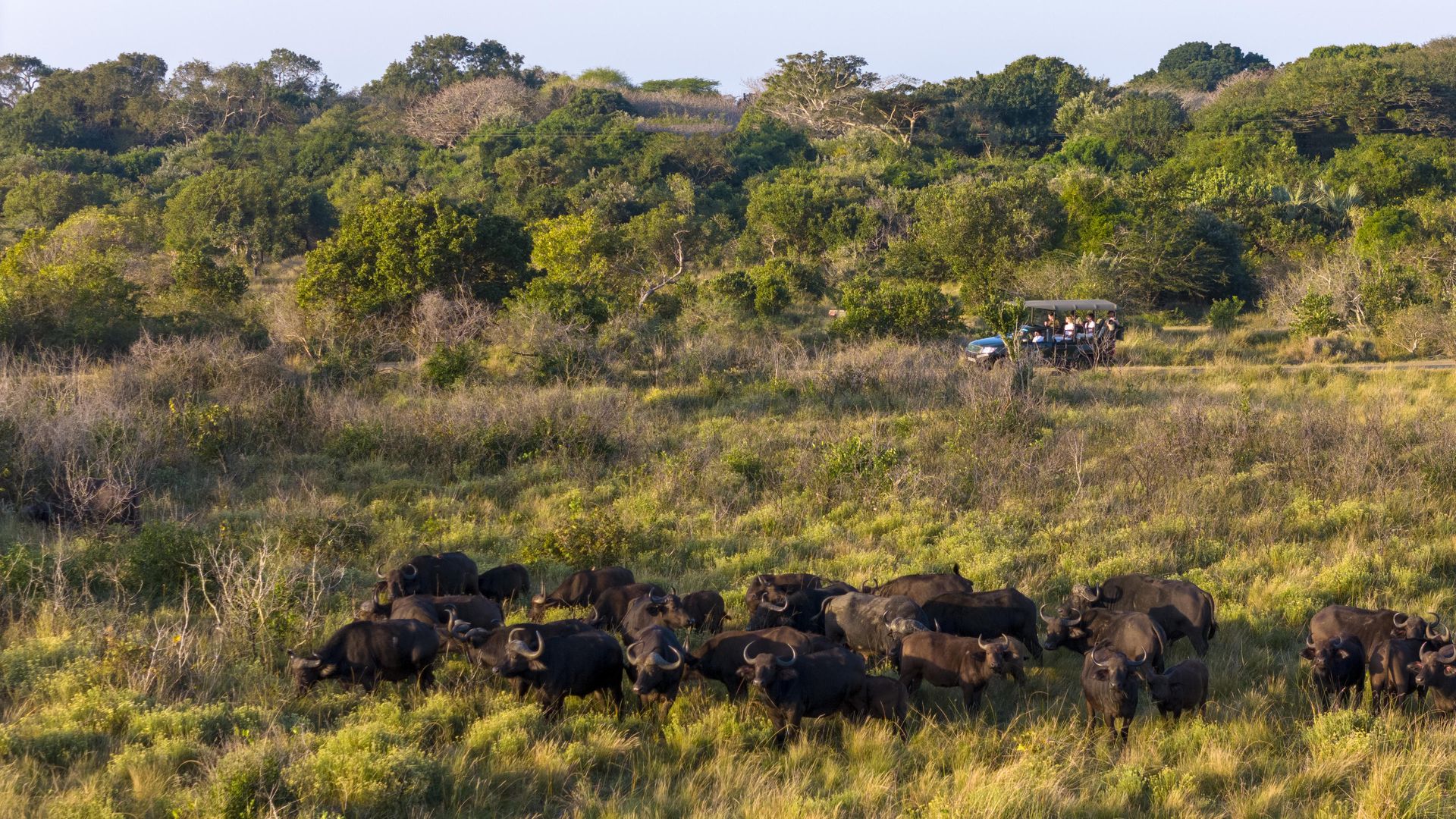 Makakatana Bay Lodge » Matoke