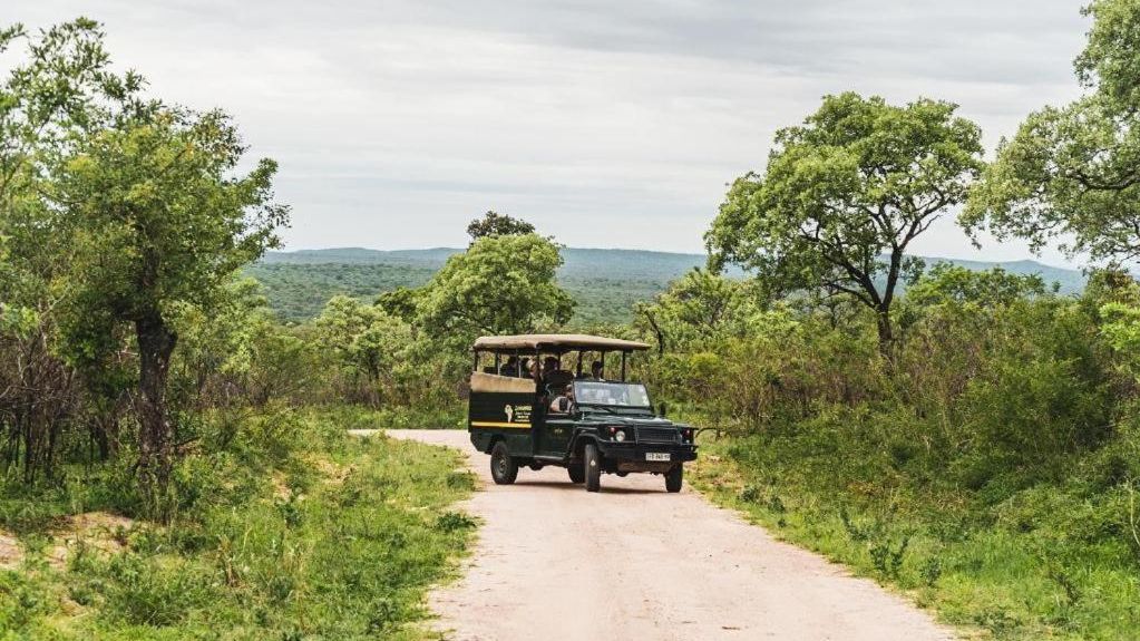Mdluli Safari Lodge » Matoke