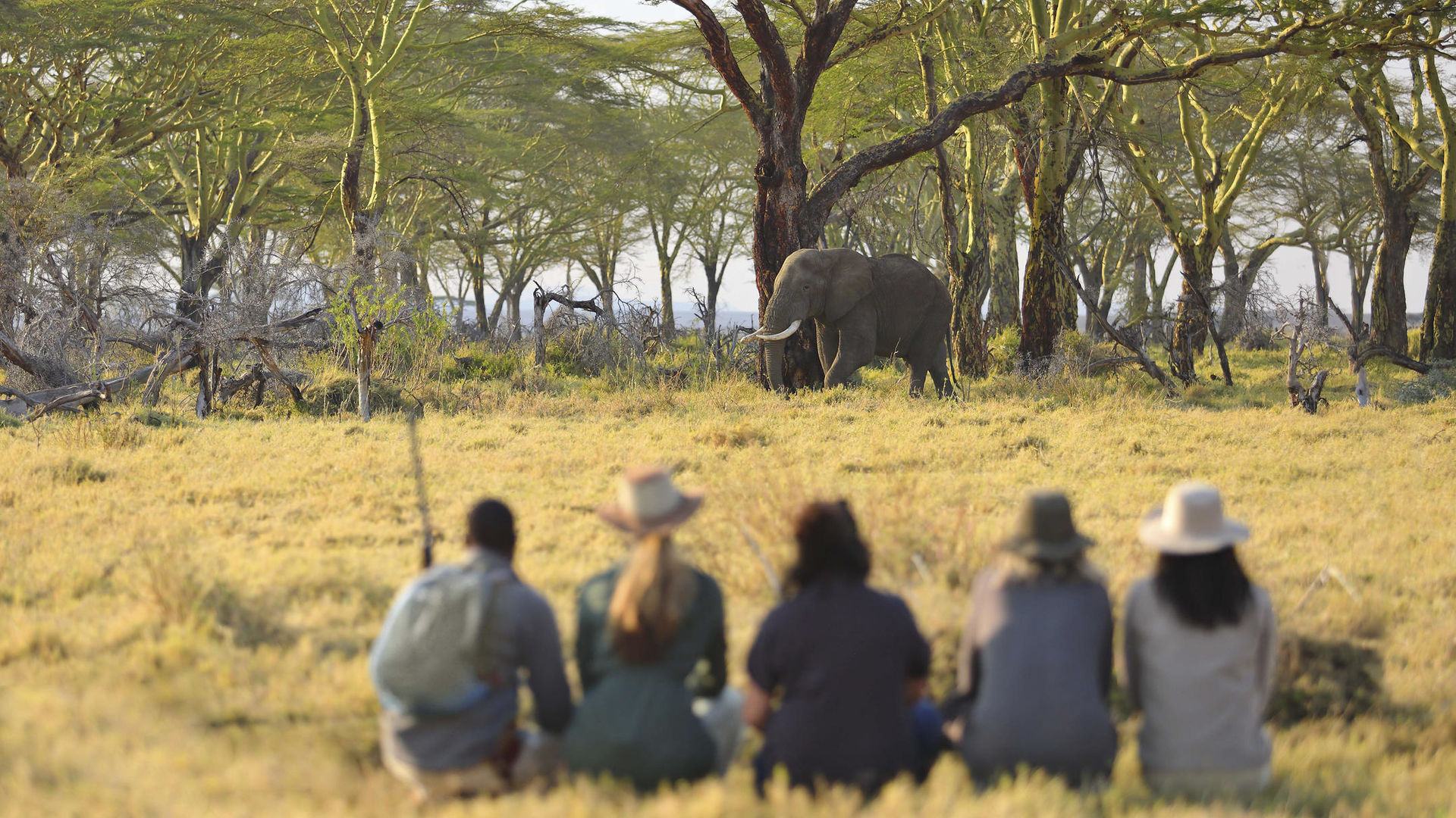 Namiri Plains Camp » Matoke