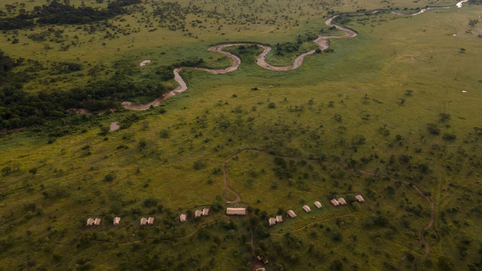 Pamoja Serengeti Luxury Camp » Matoke