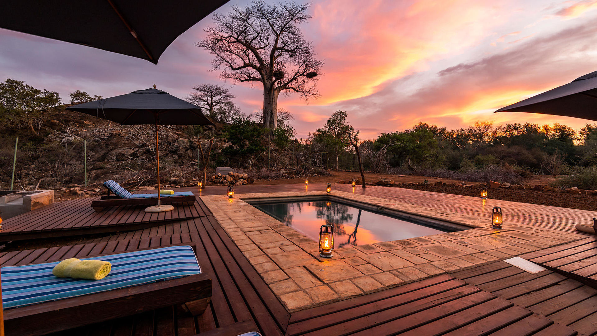 Pafuri Tented Camp » Matoke