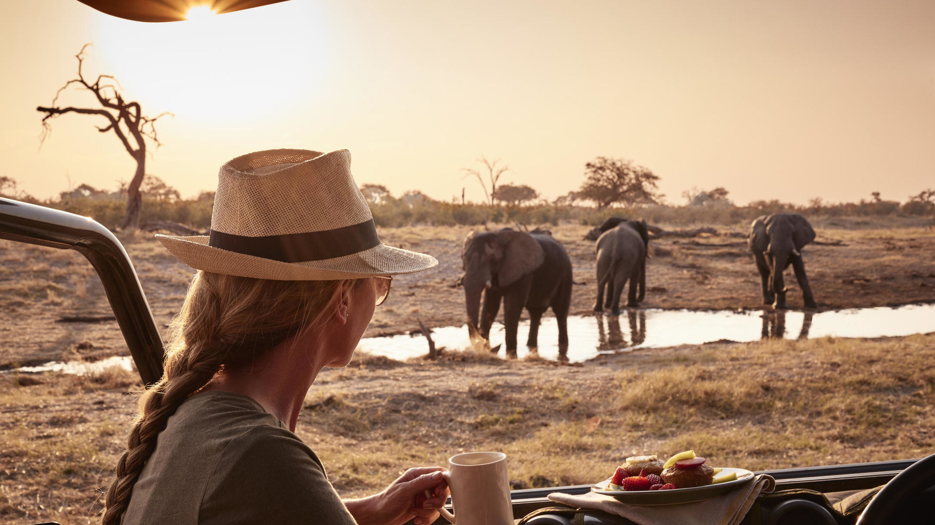 Savute Elephant Lodge » Matoke