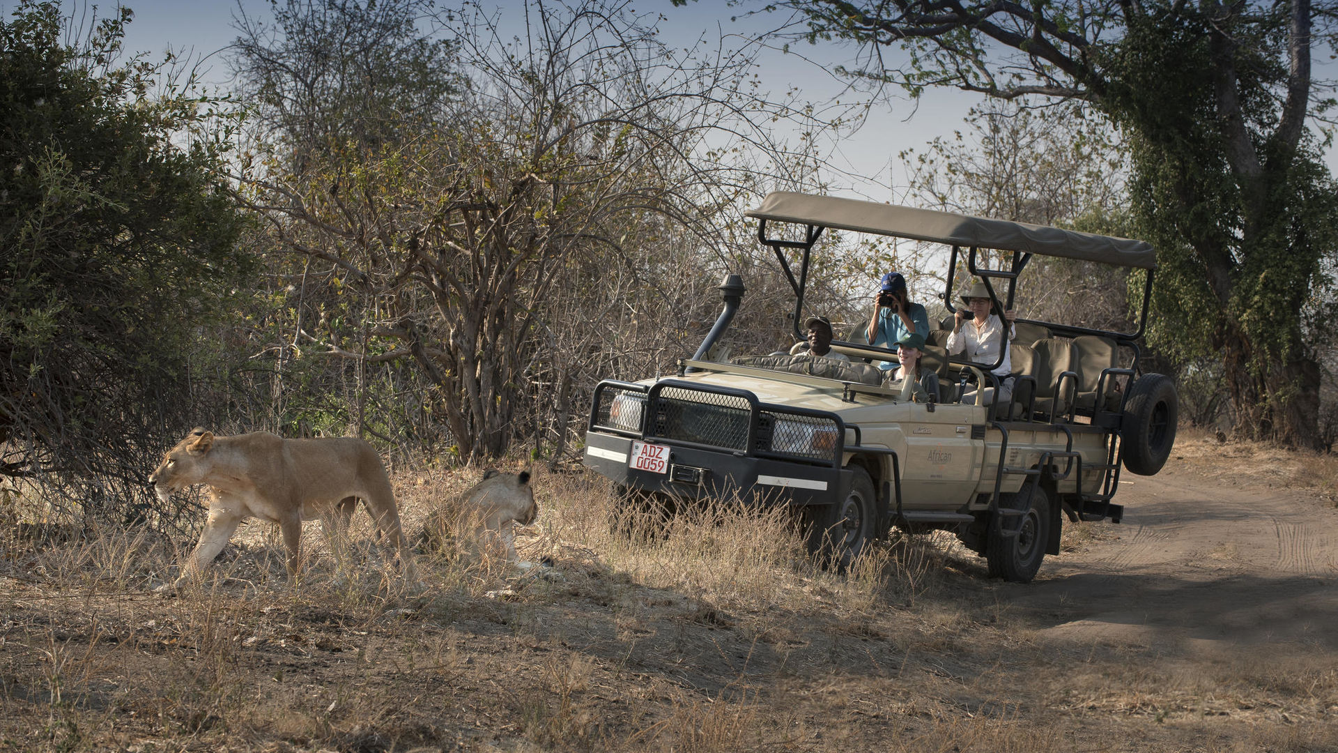 Thorntree River Lodge » Matoke