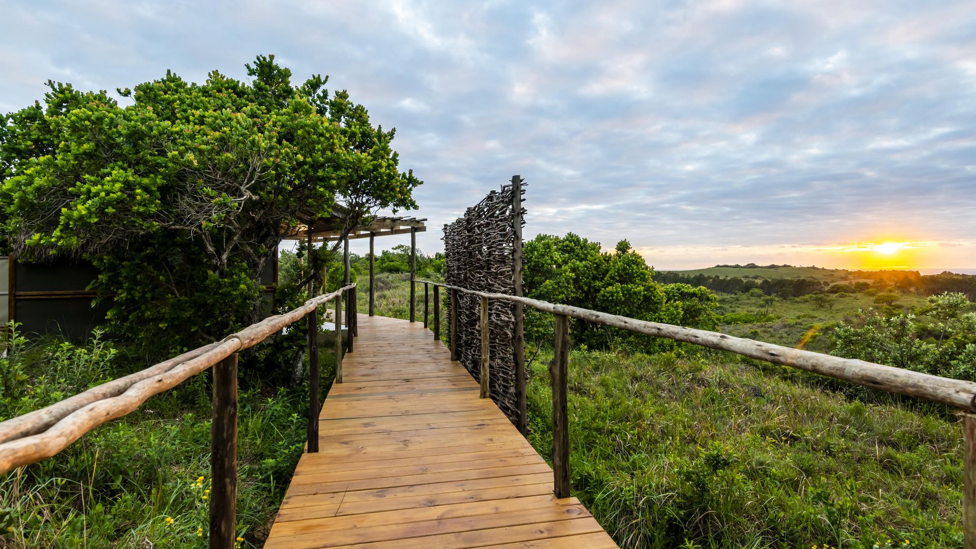 Big Skies Ubunye Camp » Matoke