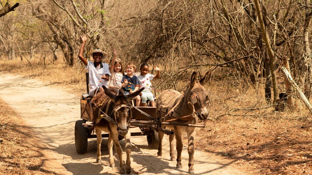 Africamps Waterberg » Zuid Afrika » Matoke Tours