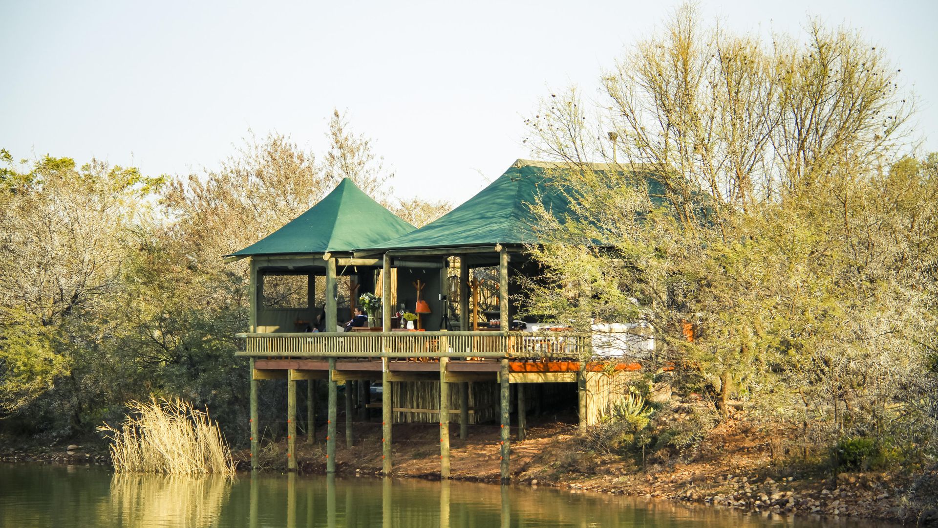 Buffelsdrift Game Lodge » Matoke