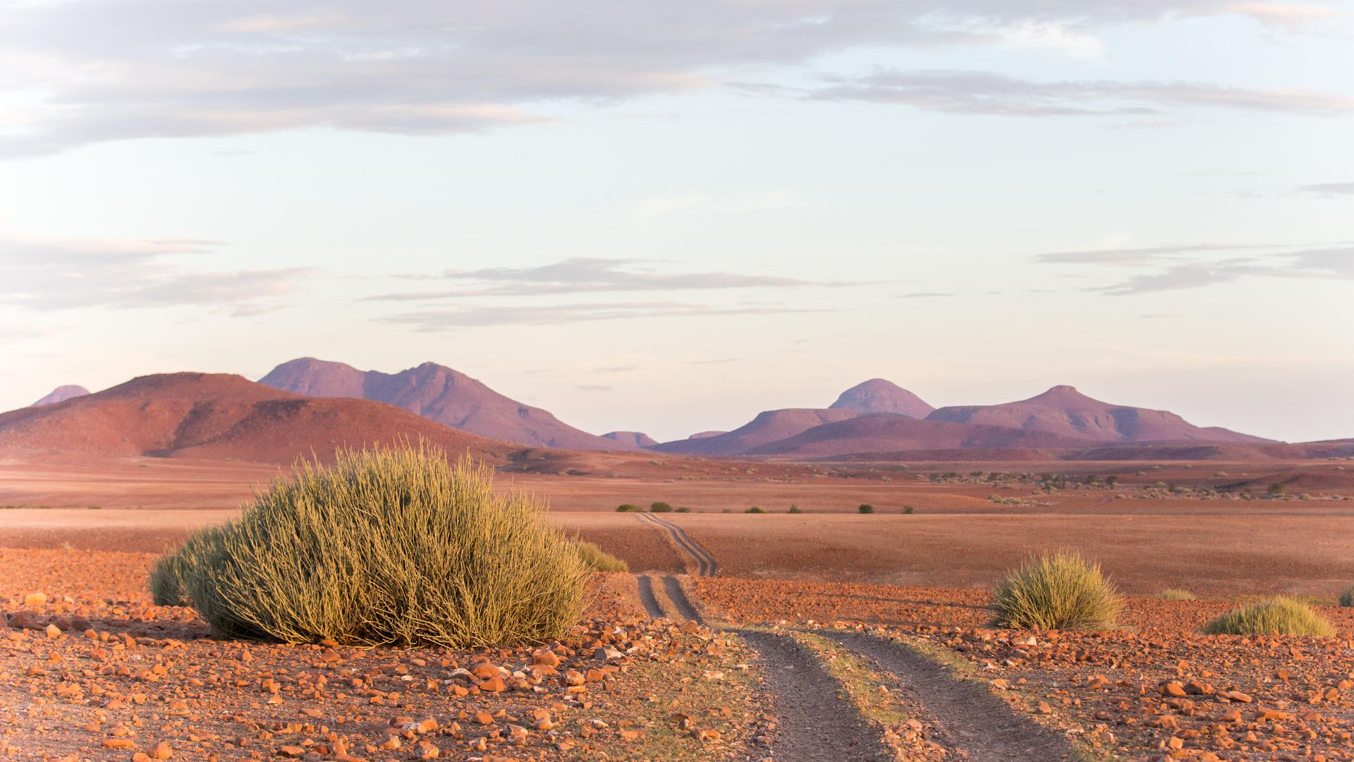 Desert Rhino Camp » Namibië » Matoke Tours