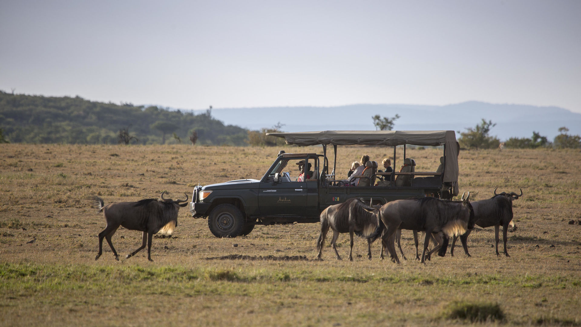 Encounter Mara Camp » Matoke