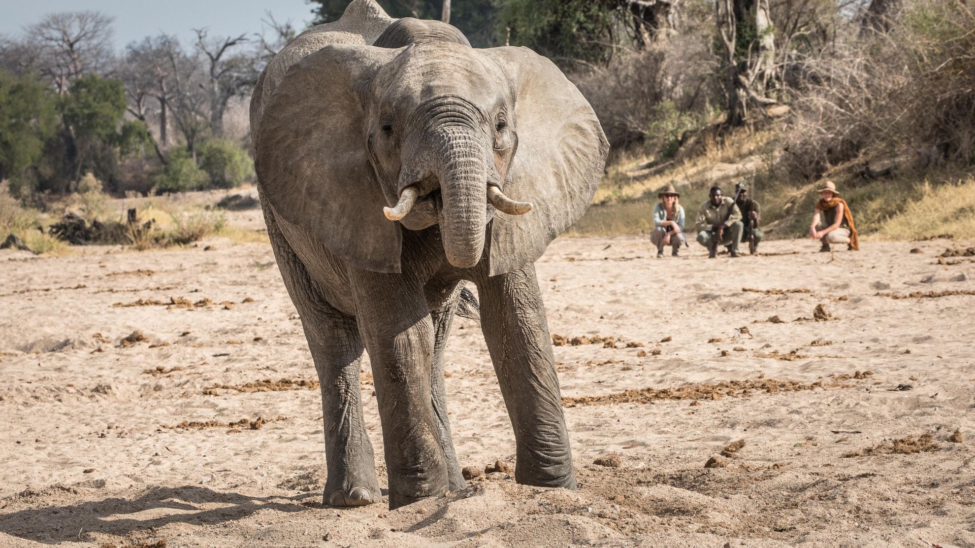 Nomad Kigelia Ruaha » Matoke
