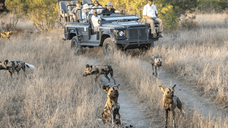Makanyi Private Game Lodge » Matoke