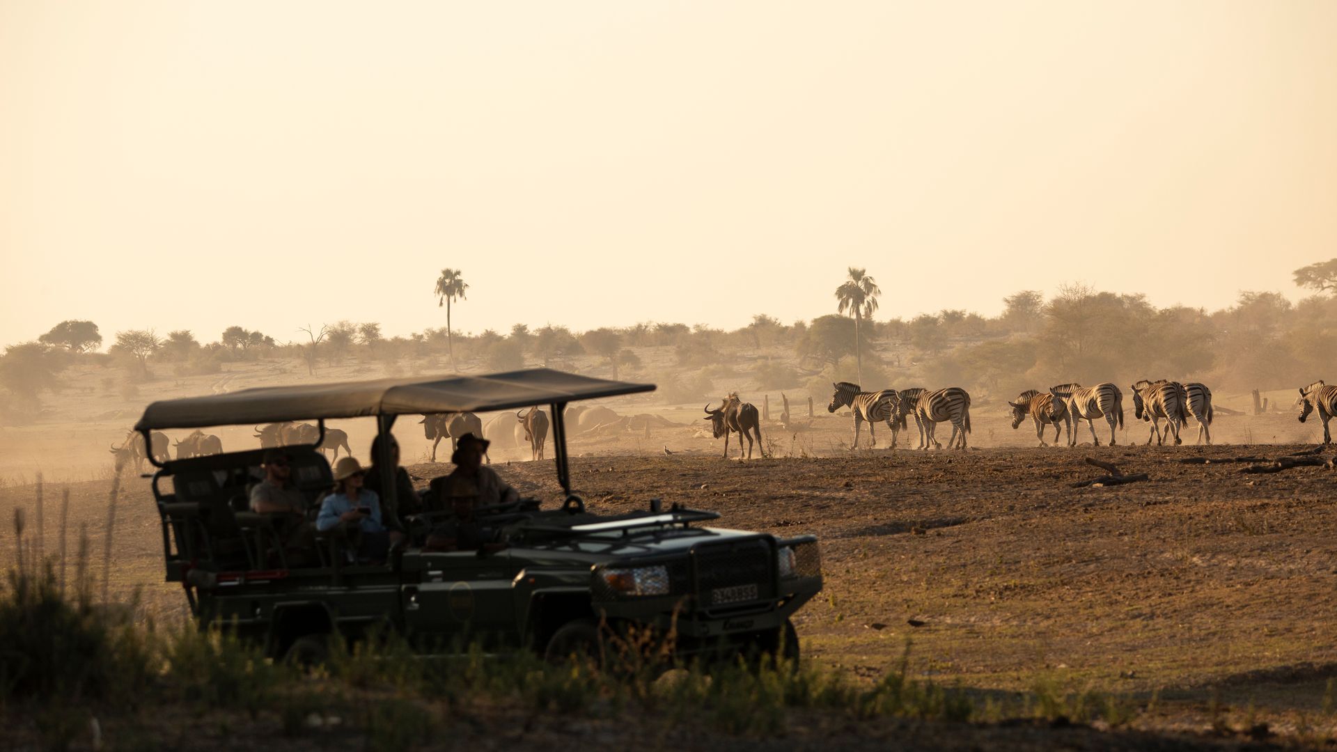 Moela Safari Lodge » Matoke