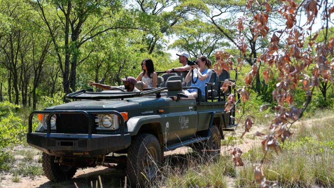 Mziki Safari Lodge » Matoke