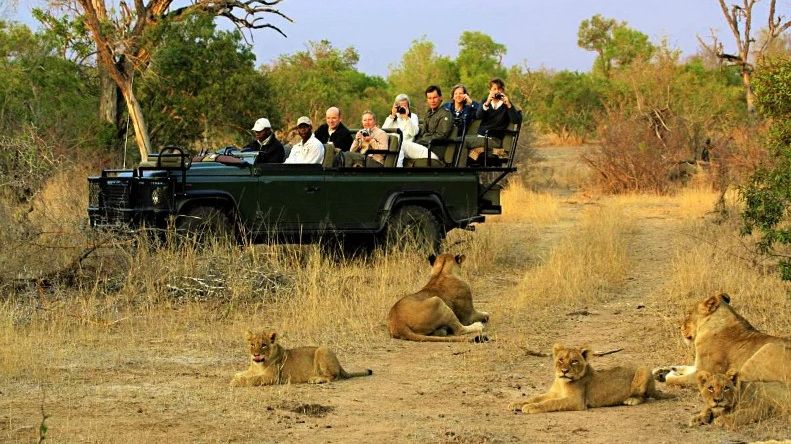 Ngama Tented Safari Lodge » Matoke